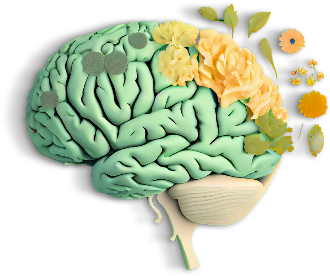 BRAIN