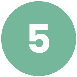 numero-5
